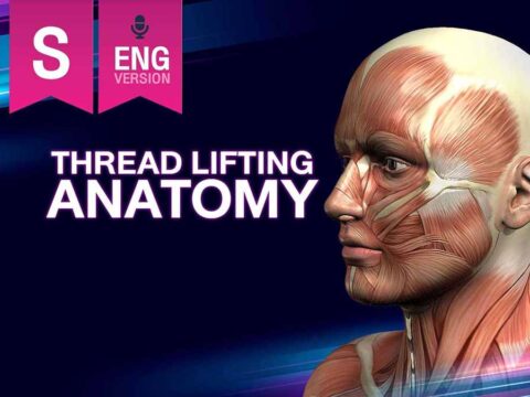 000S Thread lifting Anatomy by Korean Speaker (English version)